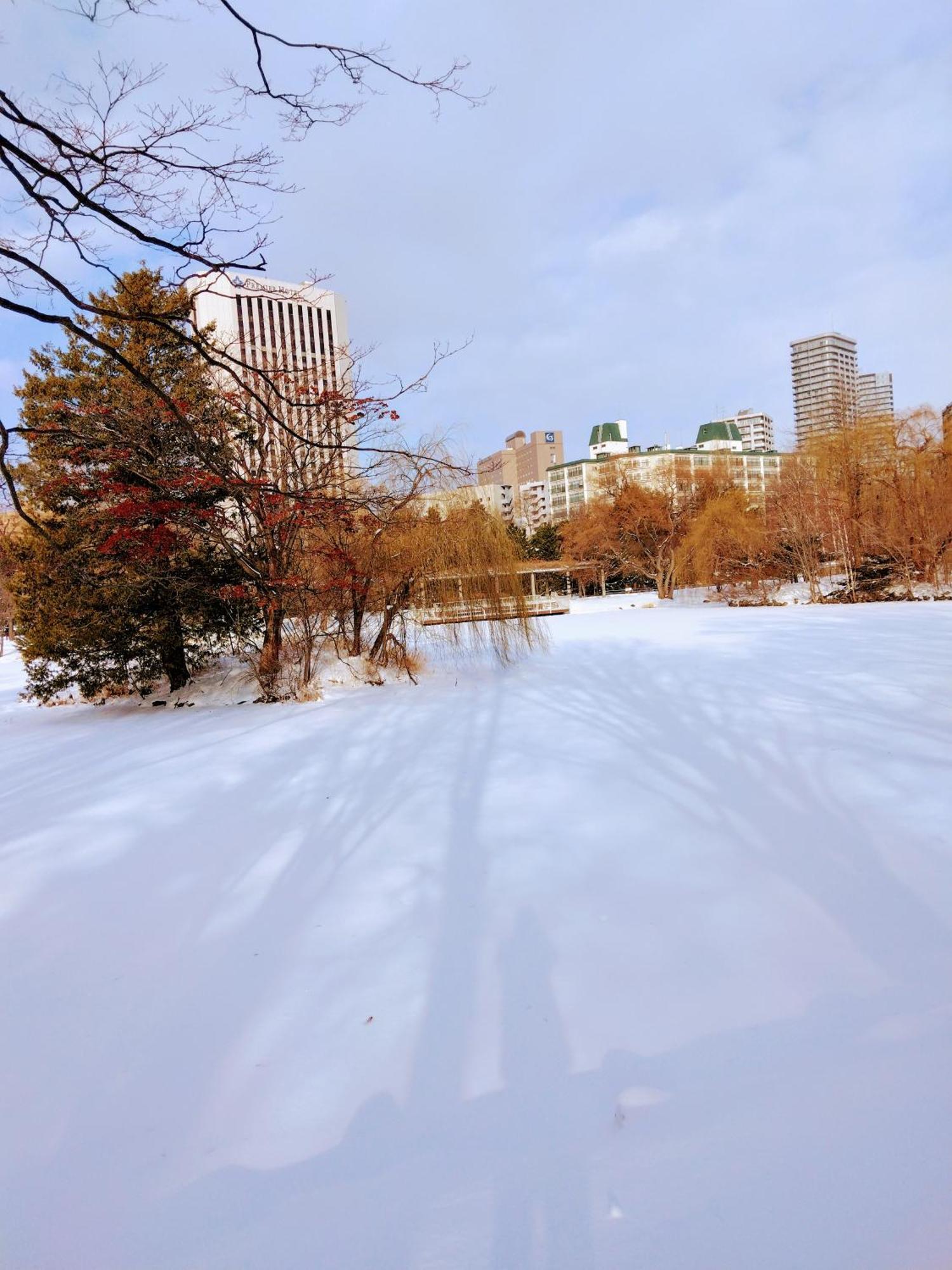 Appartement Aup178 Sapporo